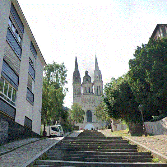 Angers : 19 700 marches en six heures ! 