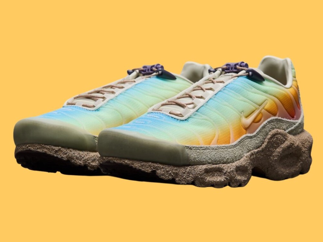 nike air max tn multicolour