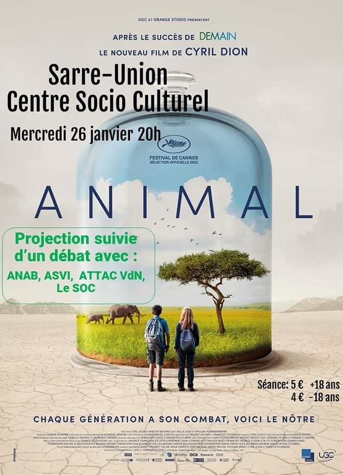 animal