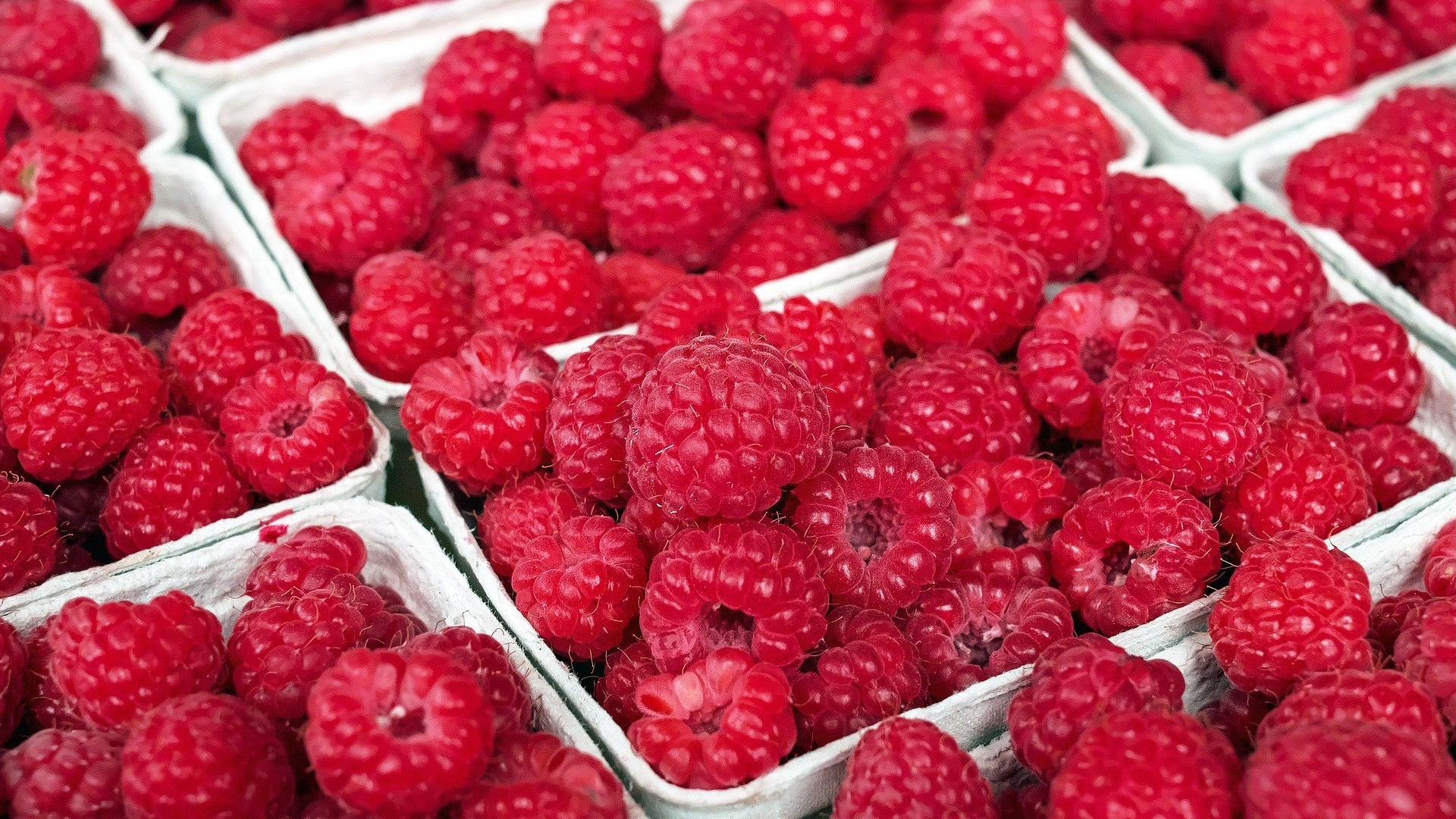 FONDANT AUX FRAMBOISES ET RICOTTA