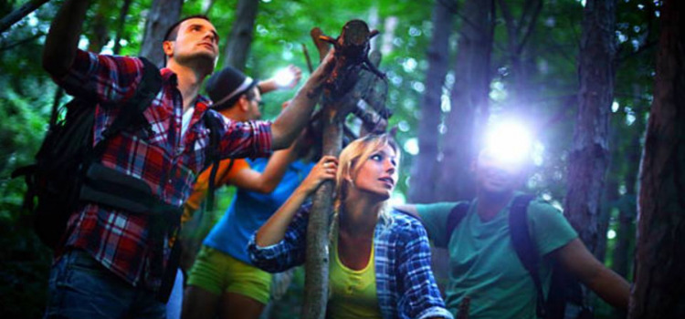 Escape Forest, l'escape game de 20 heures en forêt  pour vivre une...