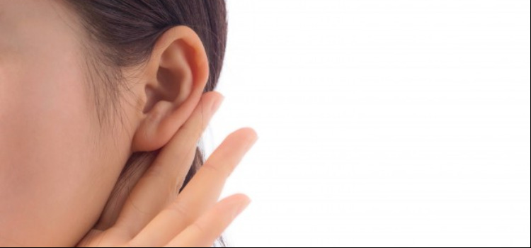 Prévention : comprendre les oreilles
