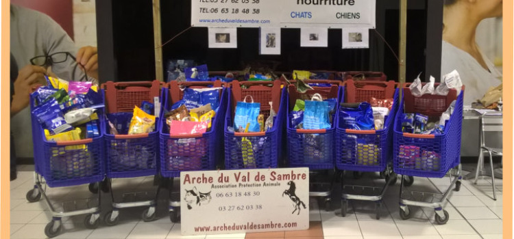 ANIMAUX : comment aider l'Arche du Val de Sambre?