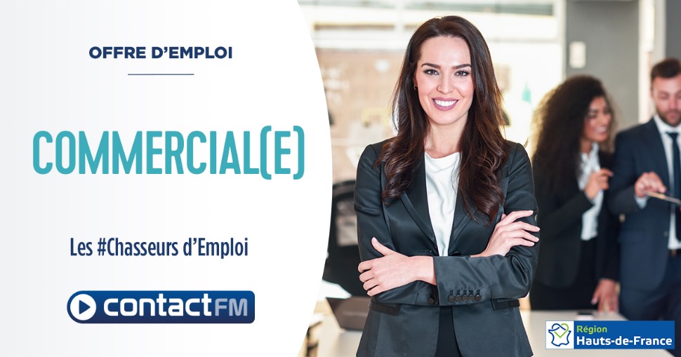 Offre d'emploi : Commercial