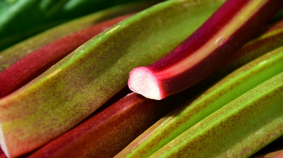 TARTE A LA RHUBARBE