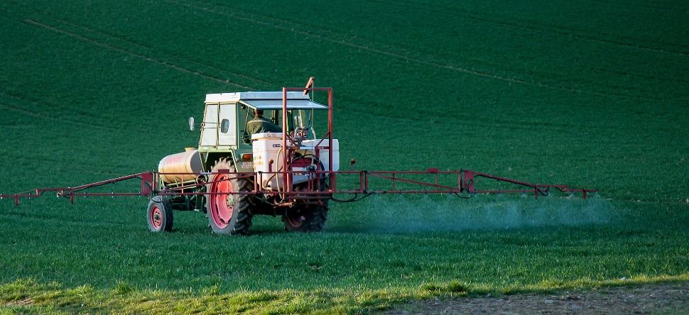 Retour des néonicotinoïdes : « Une catastrophe écologique »