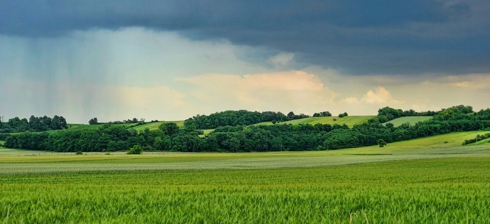 Météo du week-end : un ciel gris, de la pluie et du vent au programme