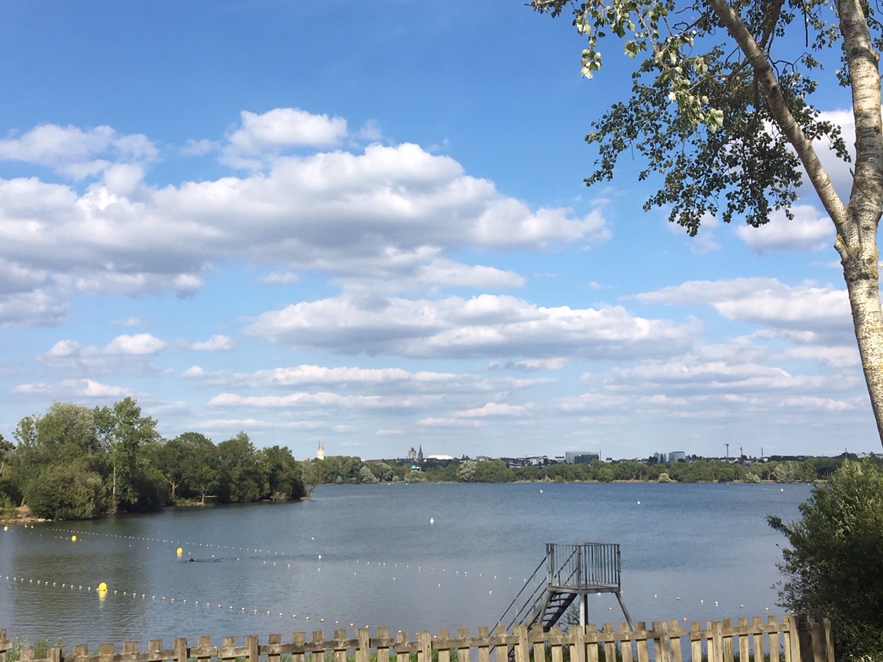 Angers Le lac de Maine fermé à la baignade HIT WEST Angers Le lac de Maine fermé à la baignade HIT WEST