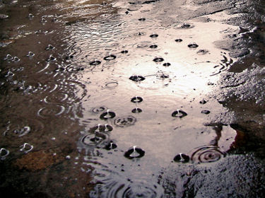 Bilan météo de l'année 2012 en Loire-Atlantique