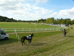 Les courses hippiques de Vertou écourtées
