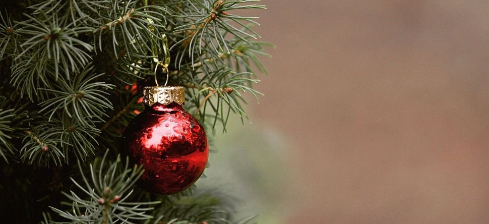 La vente de sapins de Noël autorisée pendant le confinement