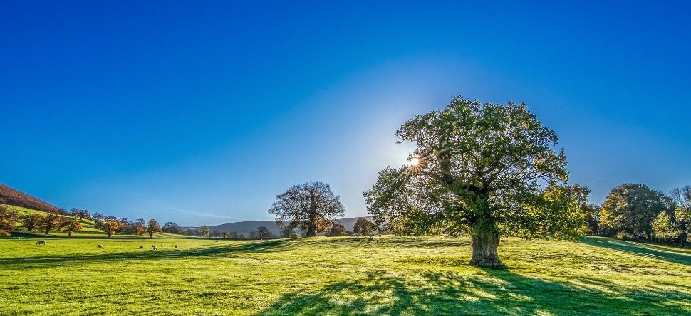 Météo du week-end : un temps ensoleillé et frais pour terminer la...