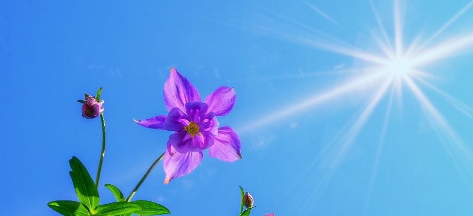 Météo du week-end : beaucoup de soleil et de la fraîcheur