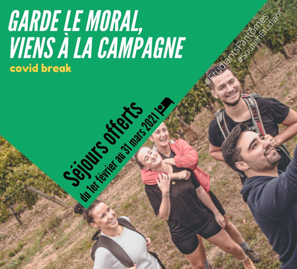 Maine-et-Loire : des séjours gratuits dans le vignoble pour les...
