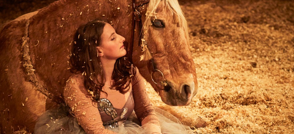 Cher : le cirque s’invite au Pôle du cheval et de l’âne de Lignières