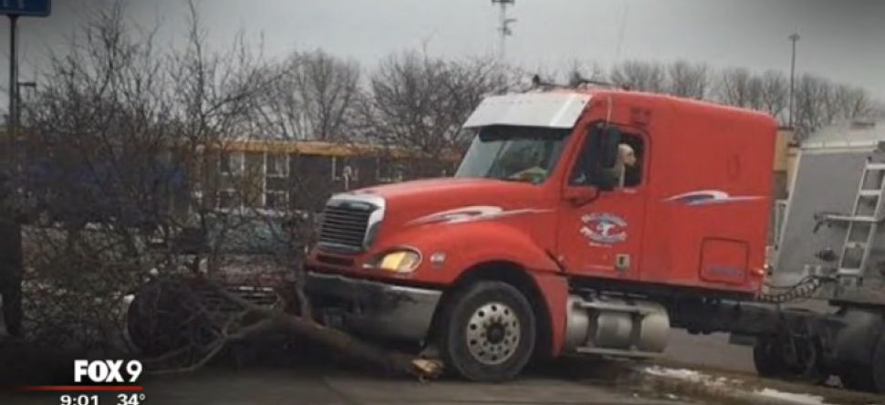 Un chien au volant d'un camion!