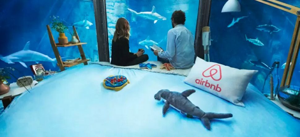 Airbnb vous propose de passer une nuit dans l’Aquarium de Paris
