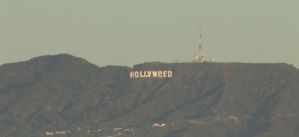 Le panneau Hollywood devient Hollyweed