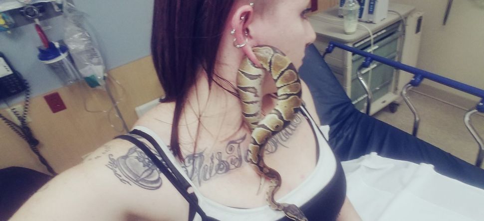 Le serpent bloqué...dans l'oreille