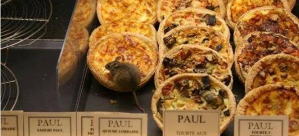 Créteil : une cliente trouve une crotte de souris dans son sandwich !