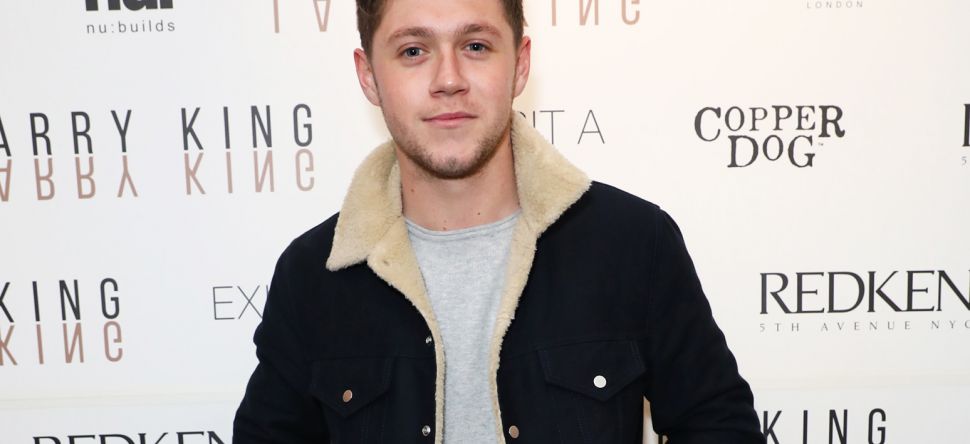 Niall Horan: bientôt la sortie de son album