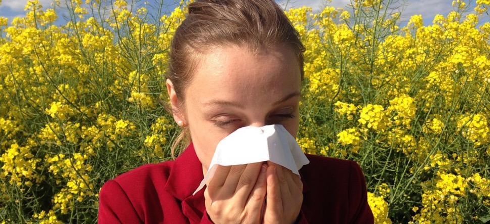 Allergie aux pollens : l’Essonne et les Yvelines placés en...