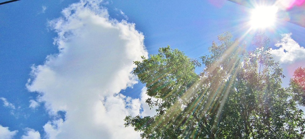 Canicule : l’Île-de-France bientôt en vigilance rouge ?