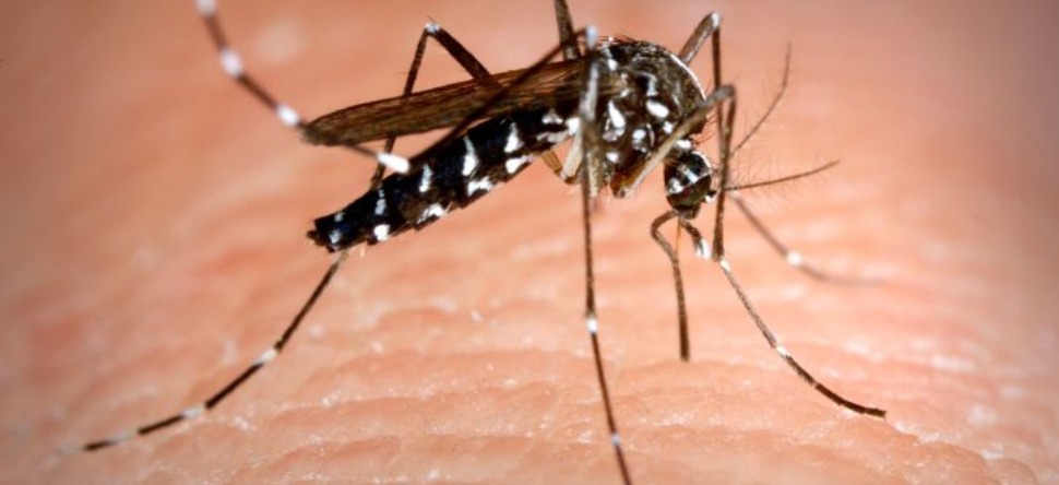 Île-de-France : de plus en plus de cas d’infections liés au...