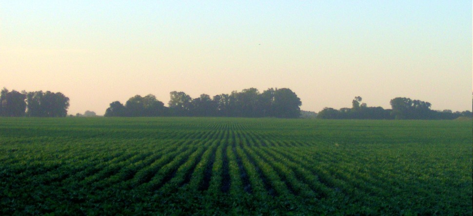 La fronde anti-pesticide s’organise chez les Franciliens