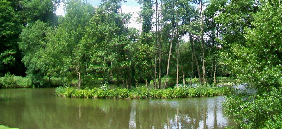 Villes vertes : l’Île-de-France a encore du chemin à parcourir