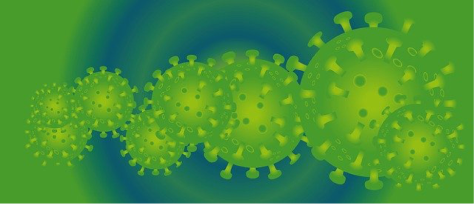 Montreuil : le coronavirus aux portes de Paris