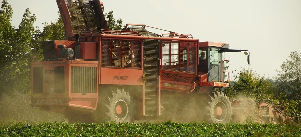 Rétropédalage : les néonicotinoïdes, temporairement autorisés en...