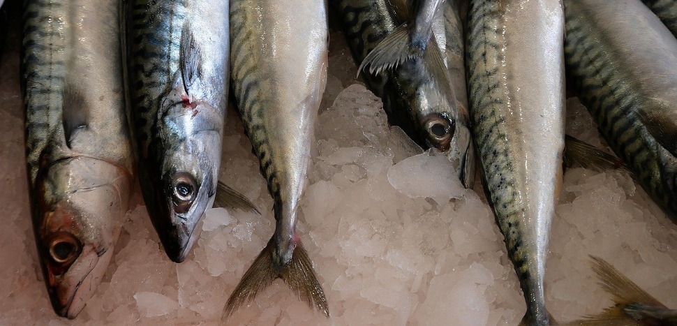 8 poissons sur 10 sur nos étales ne proviennent pas de la pêche...