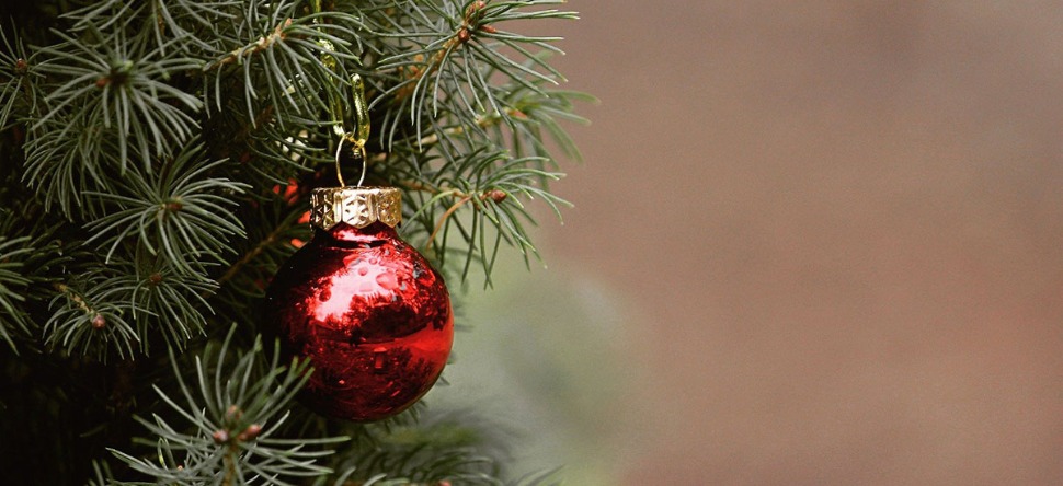 La vente de sapins de Noël autorisée pendant le confinement